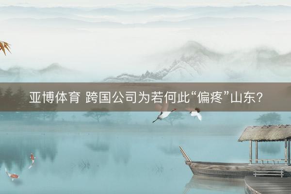 亚博体育 跨国公司为若何此“偏疼”山东?